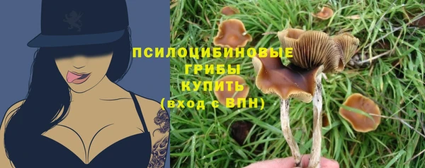 СК Балахна