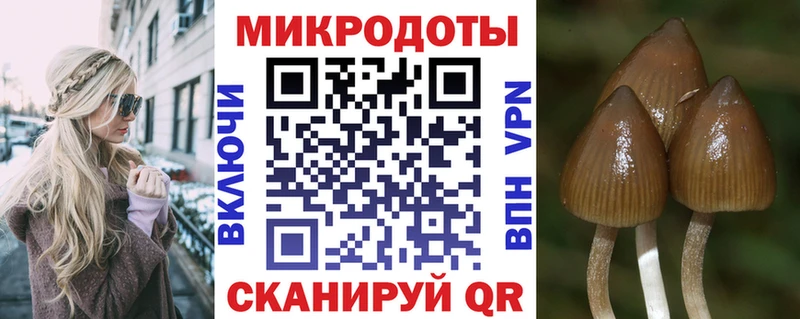 Псилоцибиновые грибы ЛСД  наркотики  Данков 